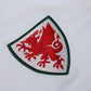 Galles 2022 away