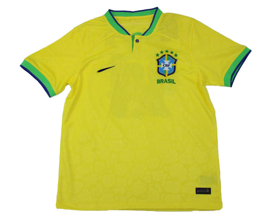 Brasile 2022